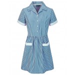 Blue/White Striped Summer Dress