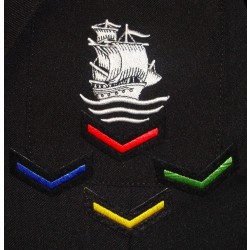 Chevrons